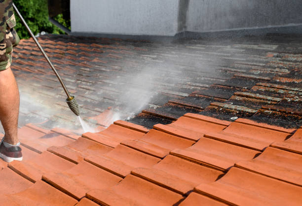 Best Garage Pressure Washing  in Mahomet, IL