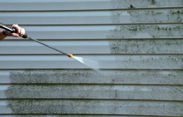 Best Affordable Pressure Washing  in Mahomet, IL
